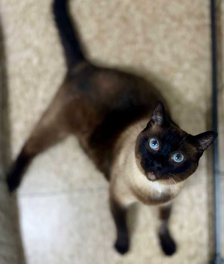 Clyde